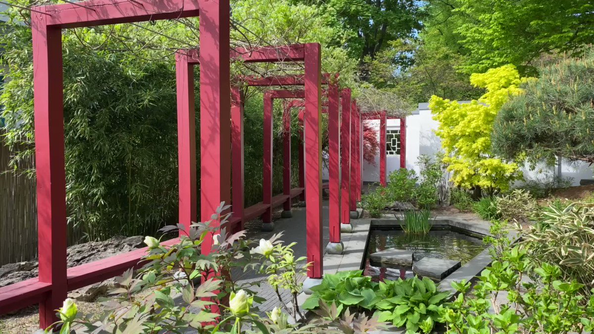 Fundstück im @DahmeSeen|land: der Chinesische Garten in Zeuthen. Direkt am Wasser. Kleine Oase. #nachbrandenburg https://t.co/53zBZYkK4P