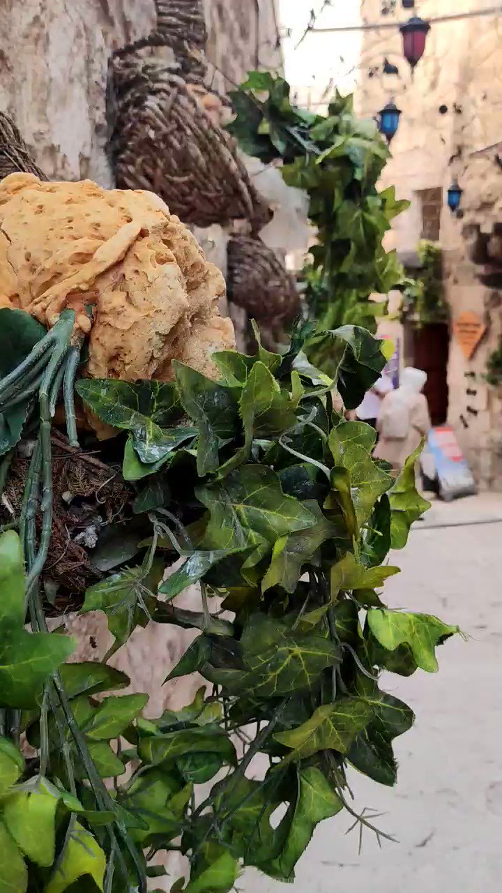 Cultural Experiences