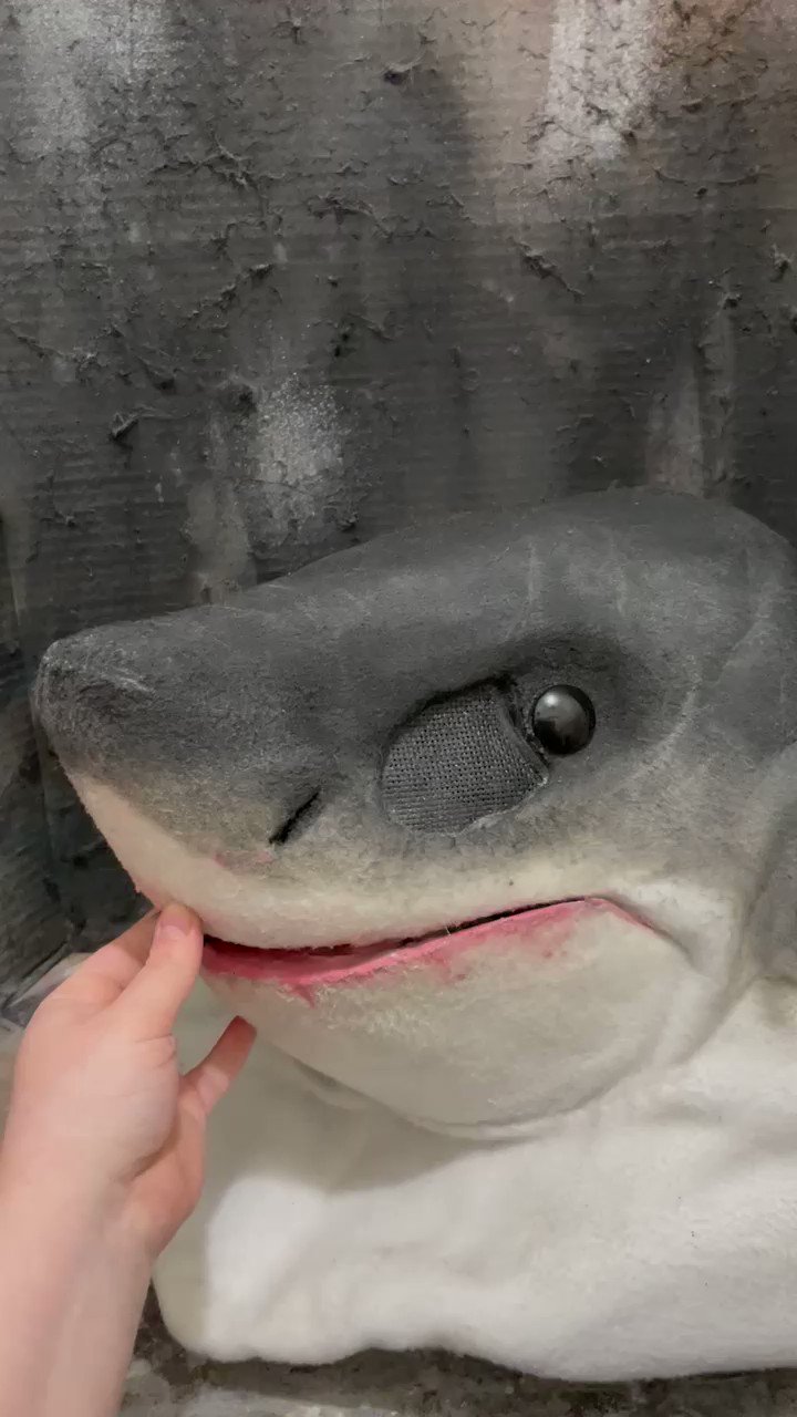 Galeos Maneatingshark Twitter