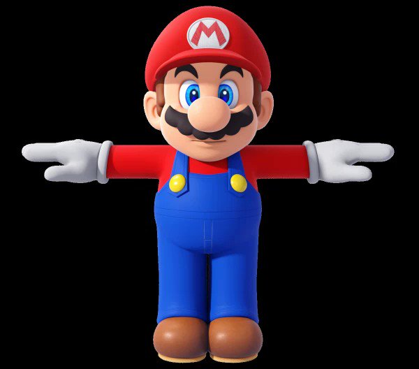 STL file Spike Flower Pot Planter Character Super Mario 3D World