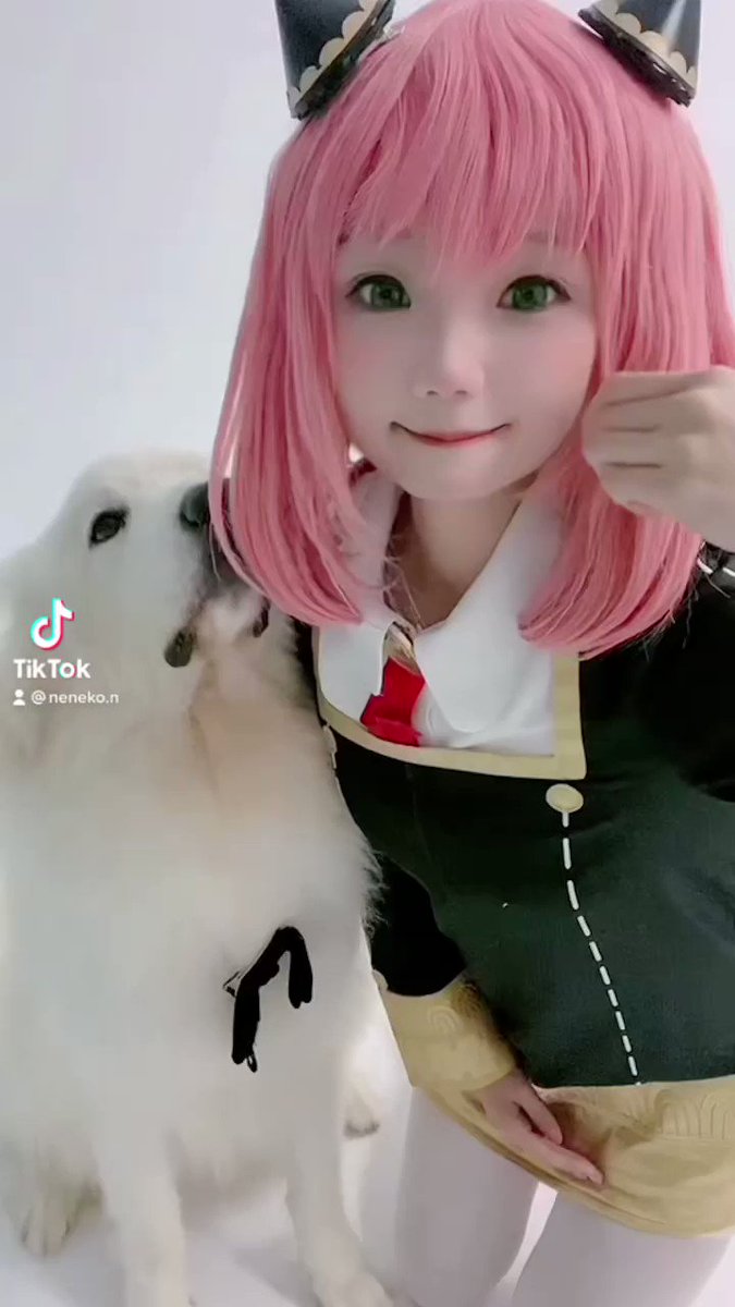 kuzu_v0の動画ツイート TwiHub / ツイハブ