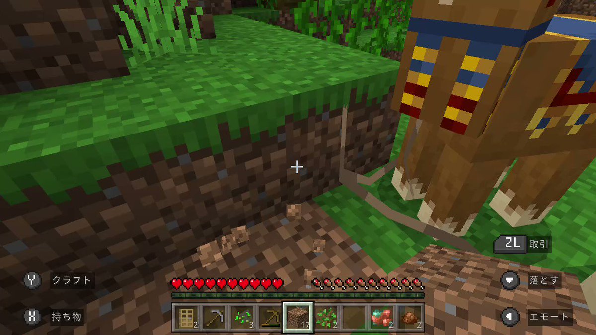 Minecraft Switch版マイクラであそんだ 豚小屋