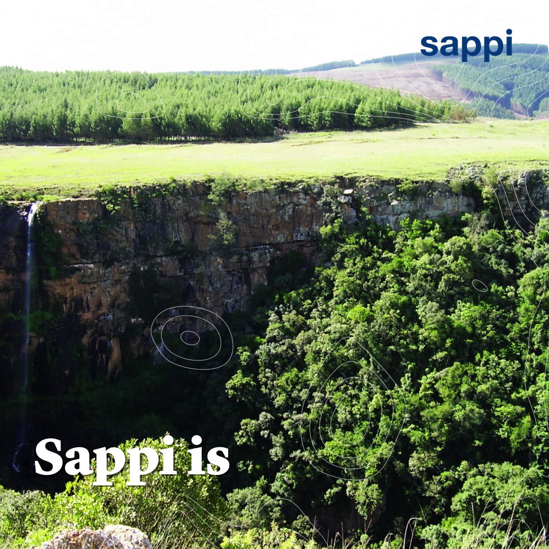 Image for the Tweet beginning: At Sappi, we acknowledge the