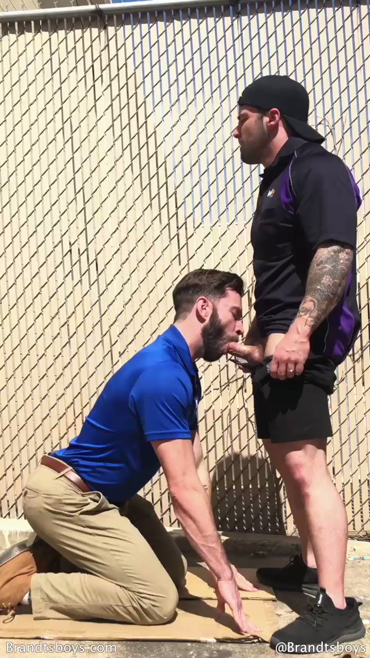 Brandt's Boys on X: 