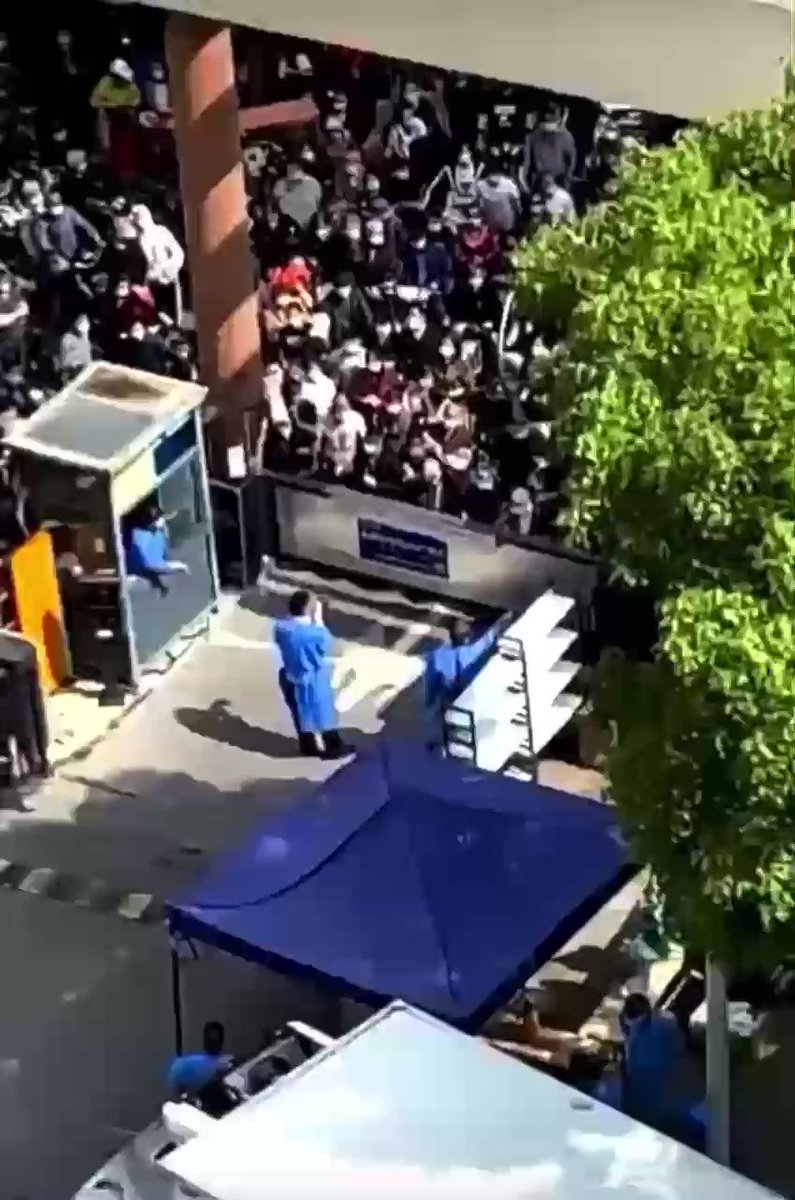 小初只小马拉大车    