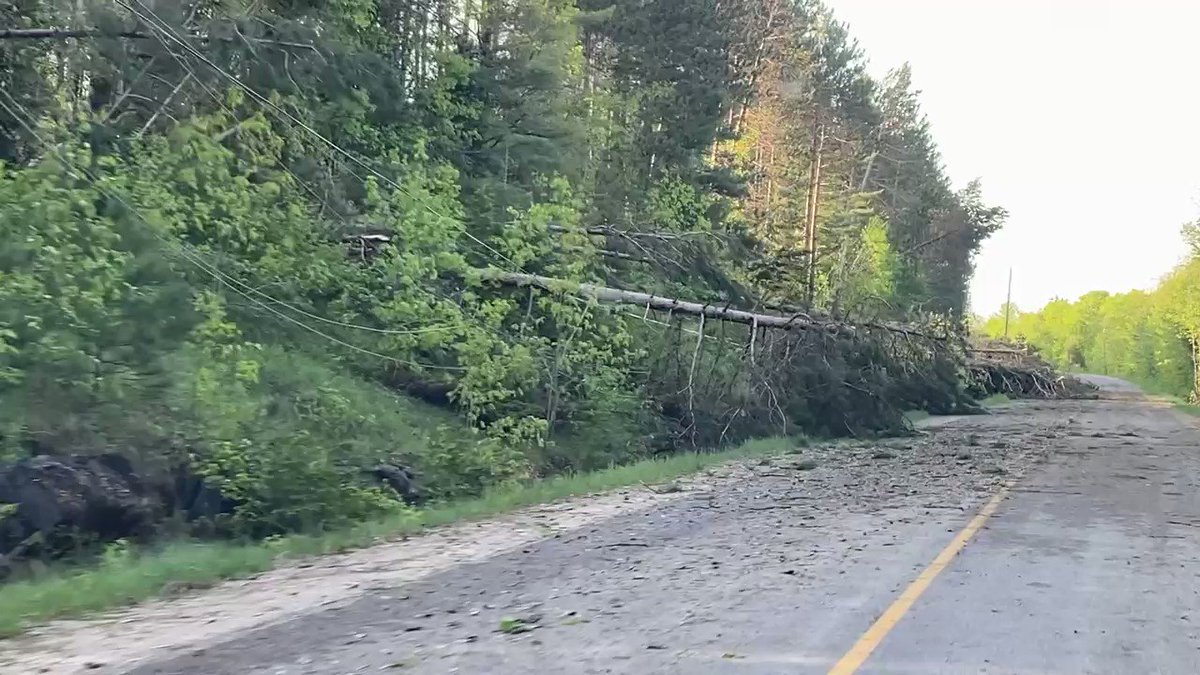 A sharknado (technically a #Derecho) ripped through #Ontario & #Quebec yesterday leaving a 1000 km long wake of carnage including downed trees & power lines down all over the province(s). #ONStorm https://t.co/g8Xka29tJw