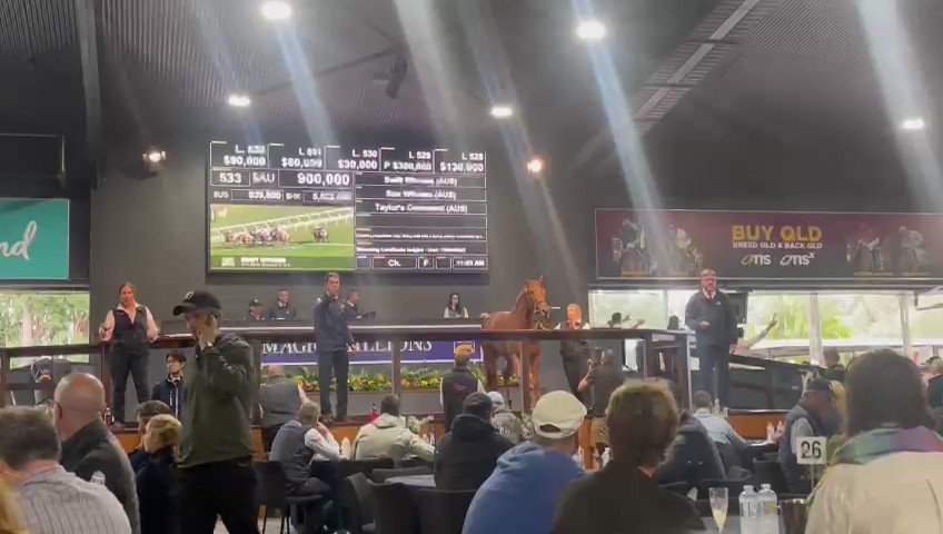 SWIFT WITNESS 💥 sells for $1 million to @FARRINGTON_D @mmsnippets @RBloodstock What an incredible result for all her connections 👏🏻🥂💕 We can’t wait to see her progeny on the racetrack in years to come 🐎🥰✨ https://t.co/sS9zoVM8Be
