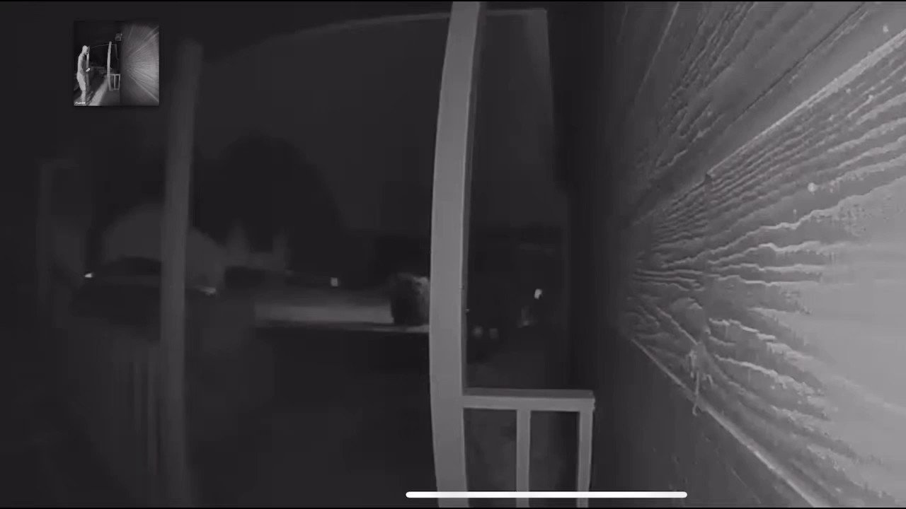Montydasexyone on Twitter "Went on a date and got caught on camera