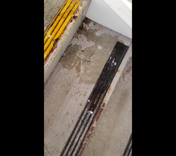 Absolutely soaked this nice little spot many times with @WetFloof
. Watch us overflow the area til it's