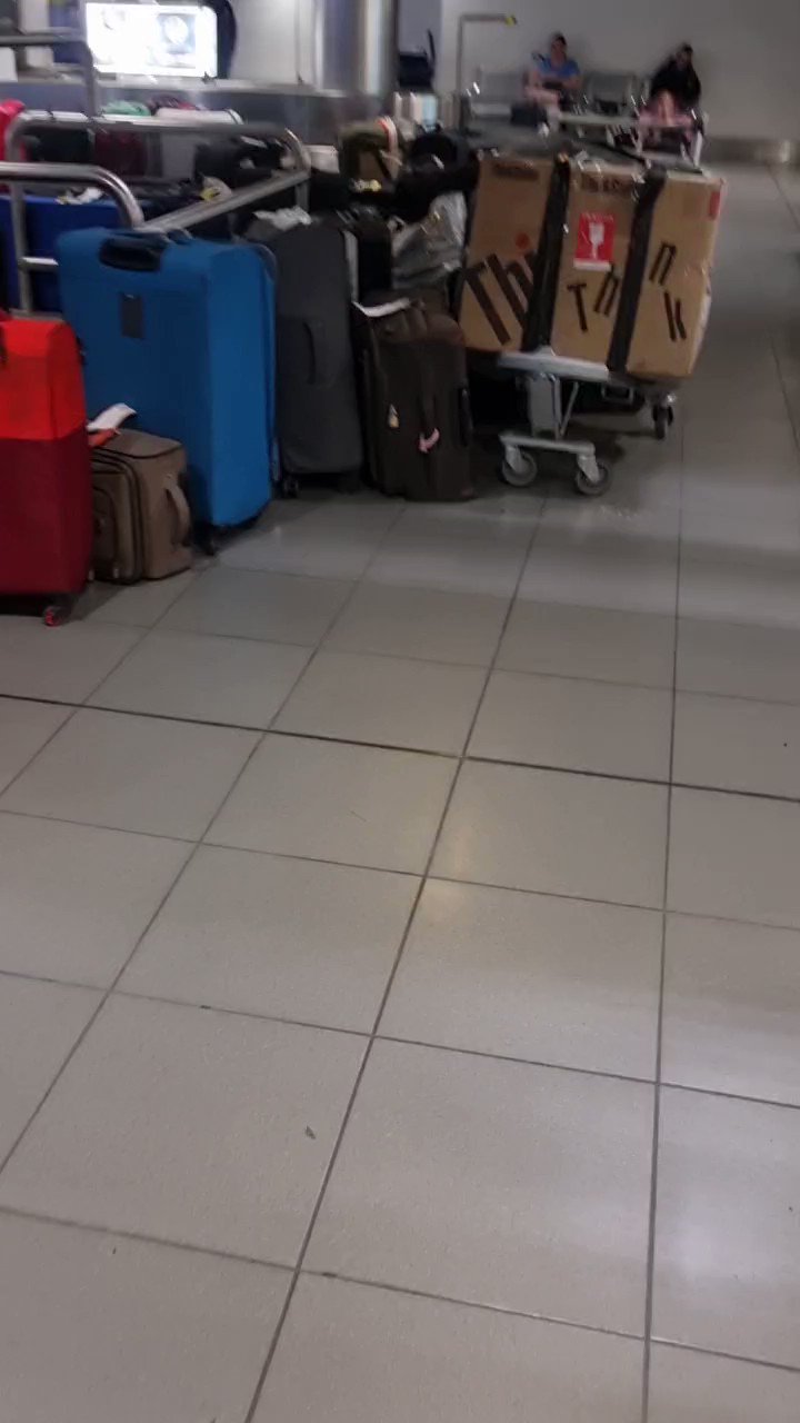 Aer Lingus Missing Luggage Complaints (AerLuggageHelp) / Twitter
