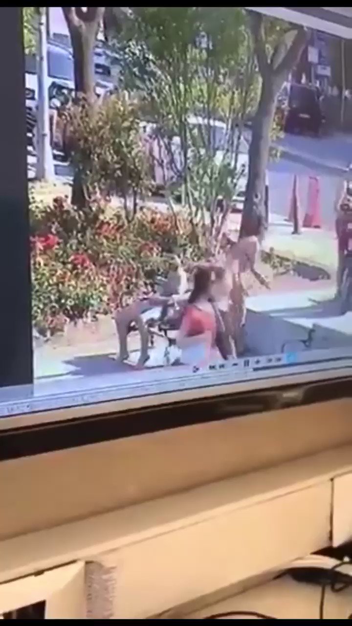 Emekli Öğrenci on X: bebek sahili 2. Video dahanelergorecegiz  t.coXWkGIqcvFH  X
