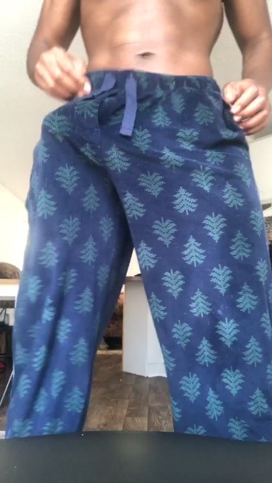 Lazy day 🦦 https://t.co/Rswp3pNotF