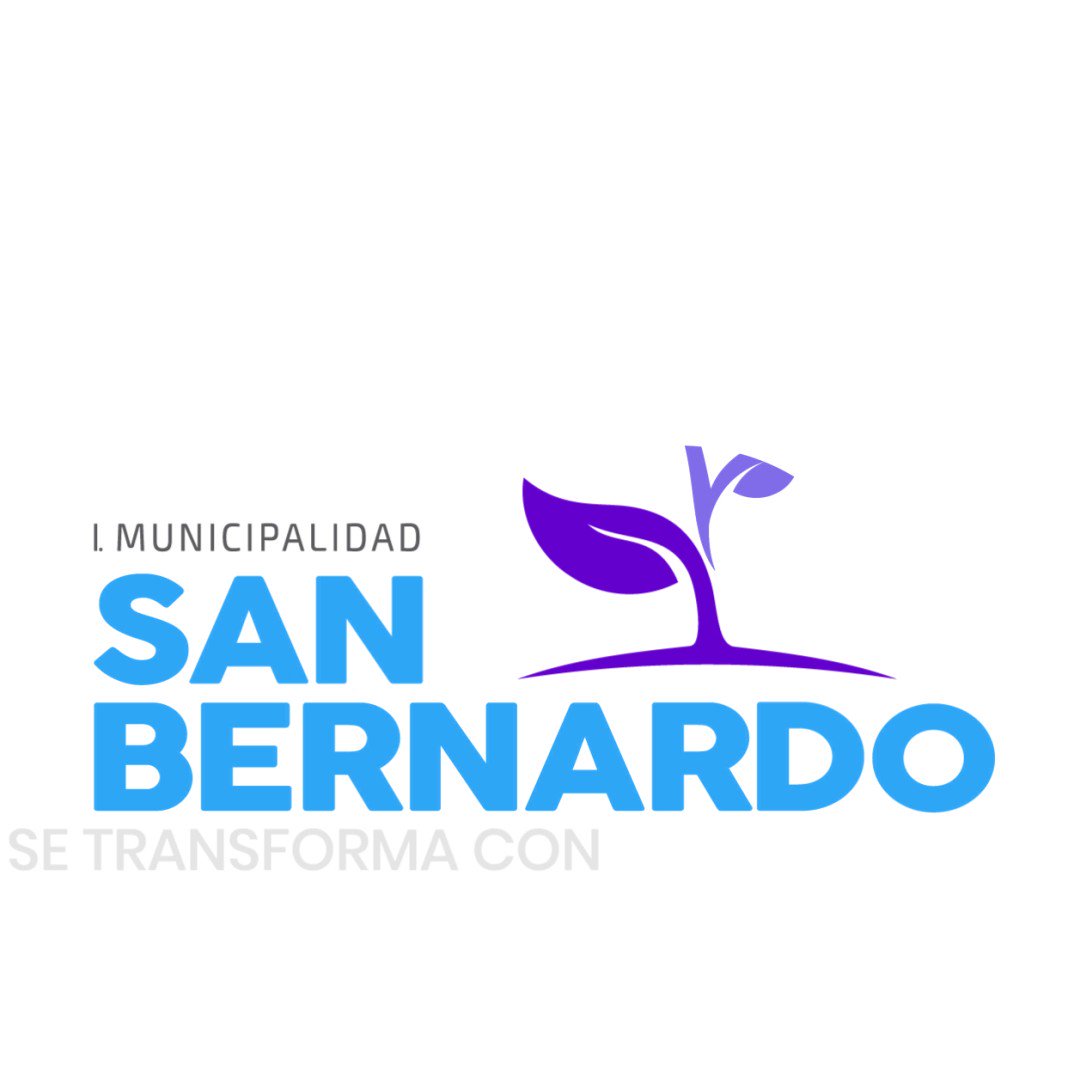 san bernardo municipalidad