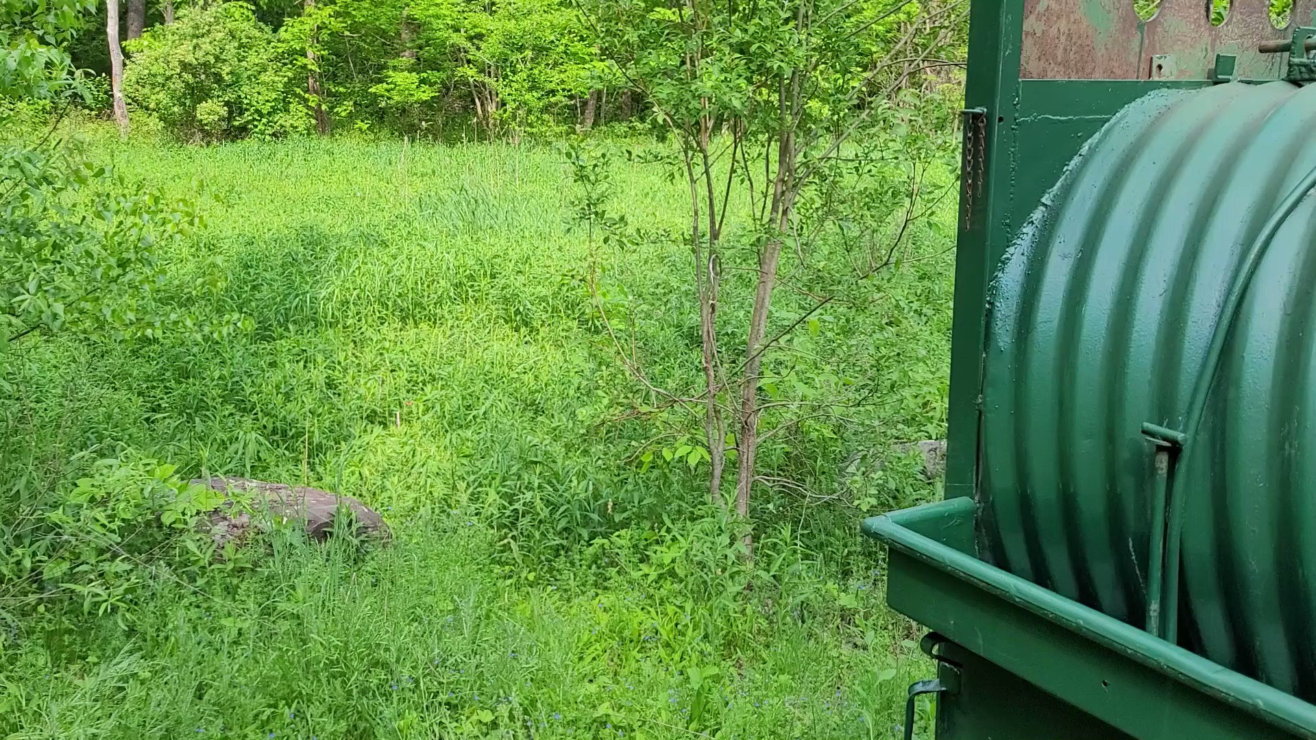 NYSDEC on Twitter "Thanks to DEC Wildlife staff and our Environmental