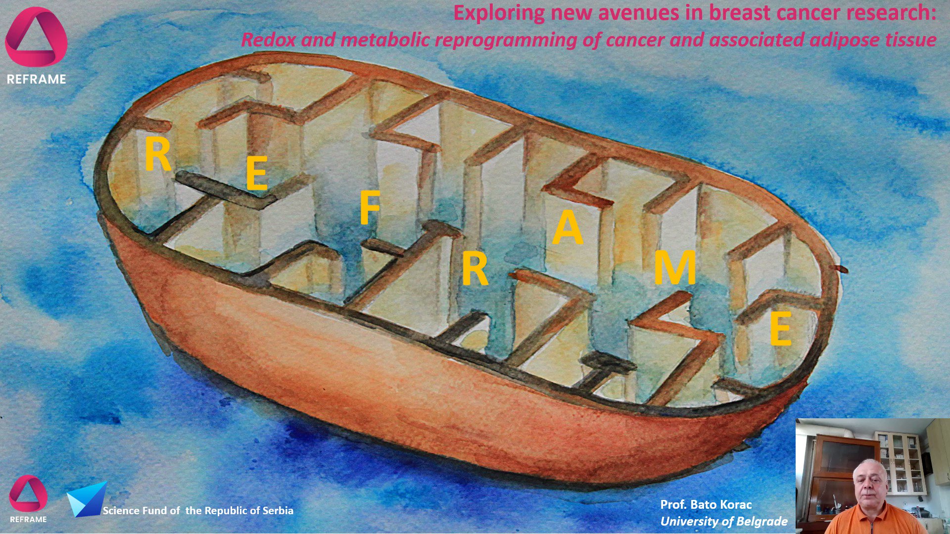 REFRAME (reframe_ideas) / Twitter