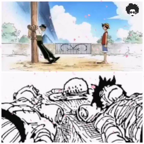 Mehmet on X: 43 Pages Zoro killing Kaido Essay. Contains material up to Chapter 1050 Link to the theory: @NOTFlJl @mrmorjman @Geo_AW @merphynapier @JayDlegend / X