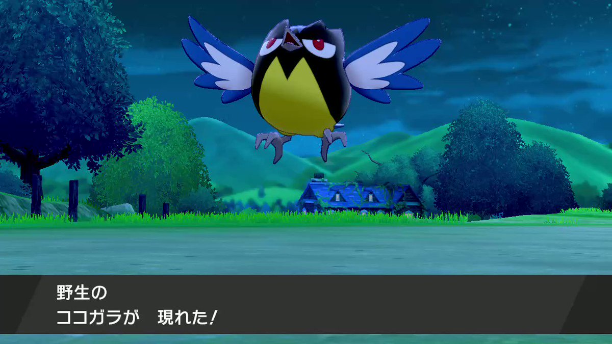 ソードシールド ココガラの種族値 わざ 特性など能力と入手方法 ポケモン剣盾 攻略大百科