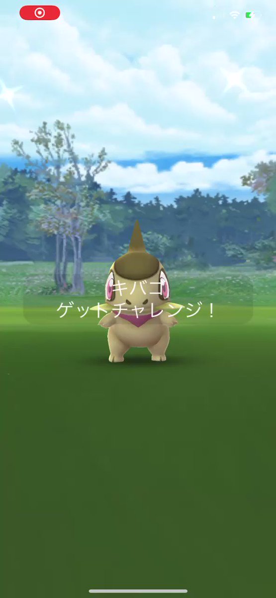 ピカ ポケモンgo Tl50 Pika Vee Twitter