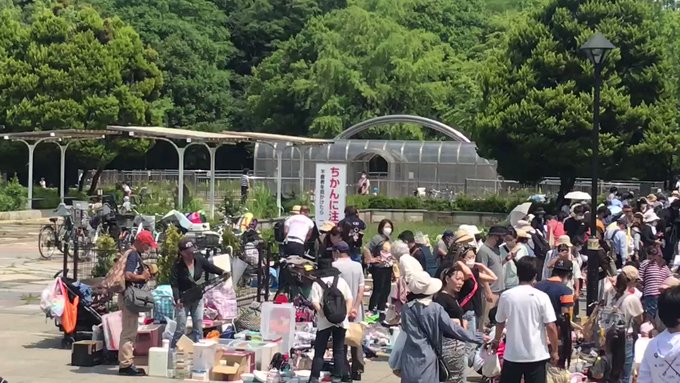 フリマ ラズベリー 光が丘公園フリマ フリーマーケット