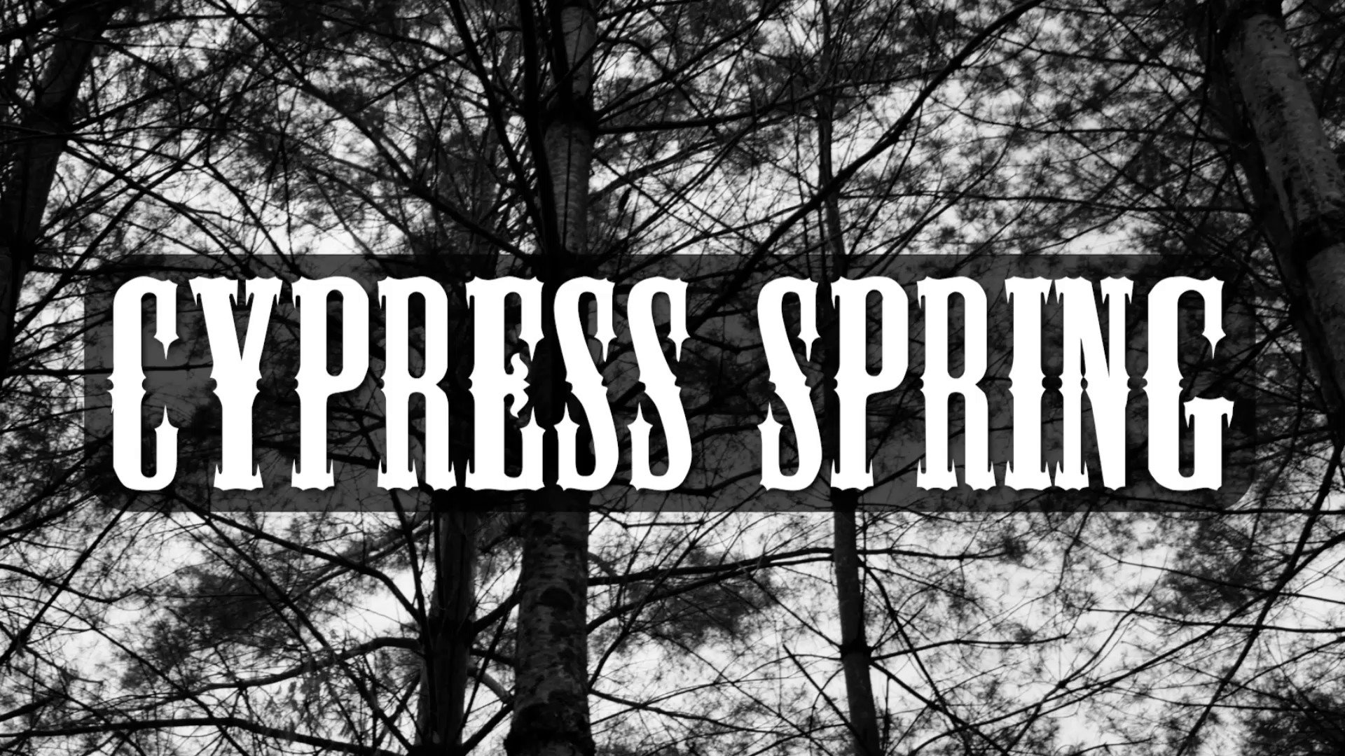 Cypress Spring (cypress_spring) / Twitter