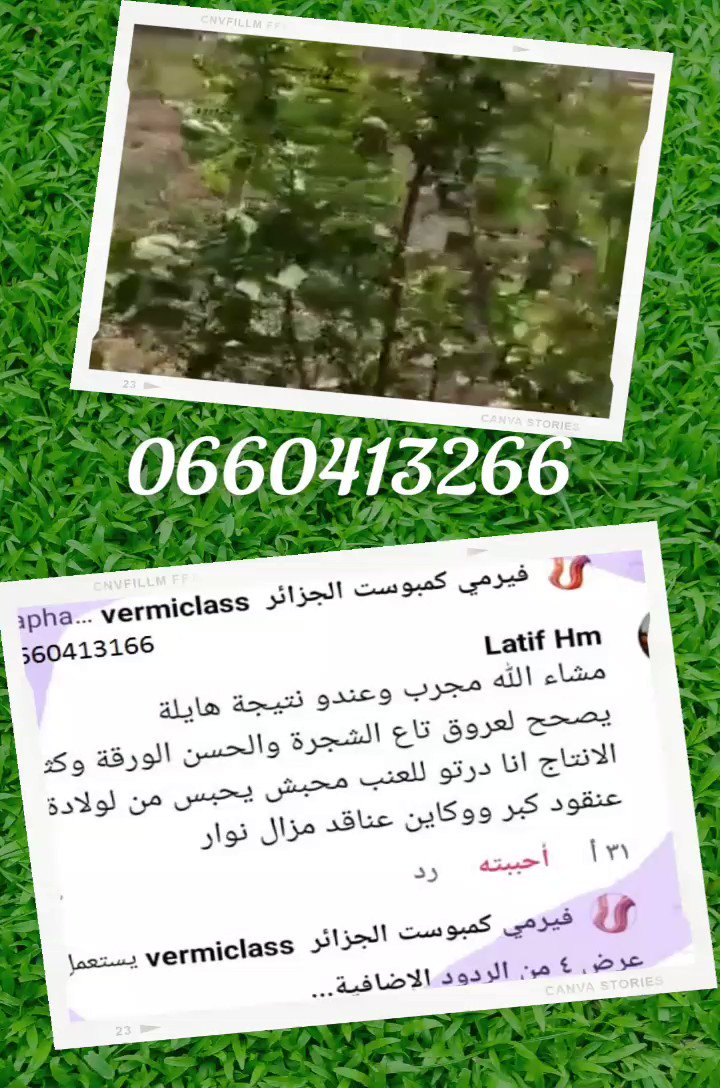 رسالة الأدواء والنبات