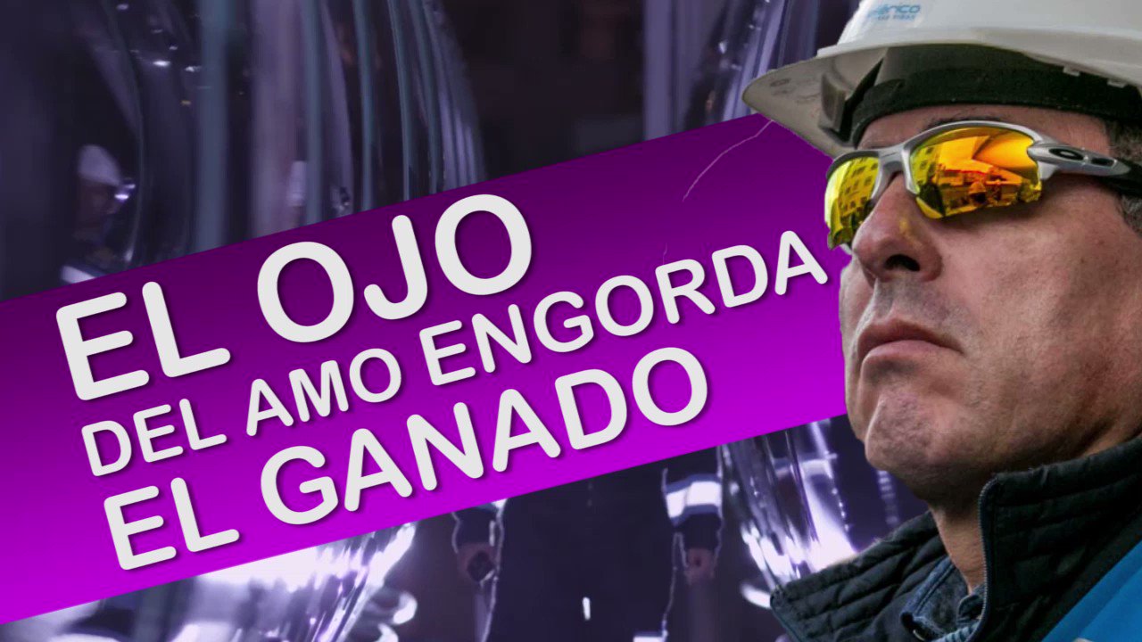 Oakley del best sale amo
