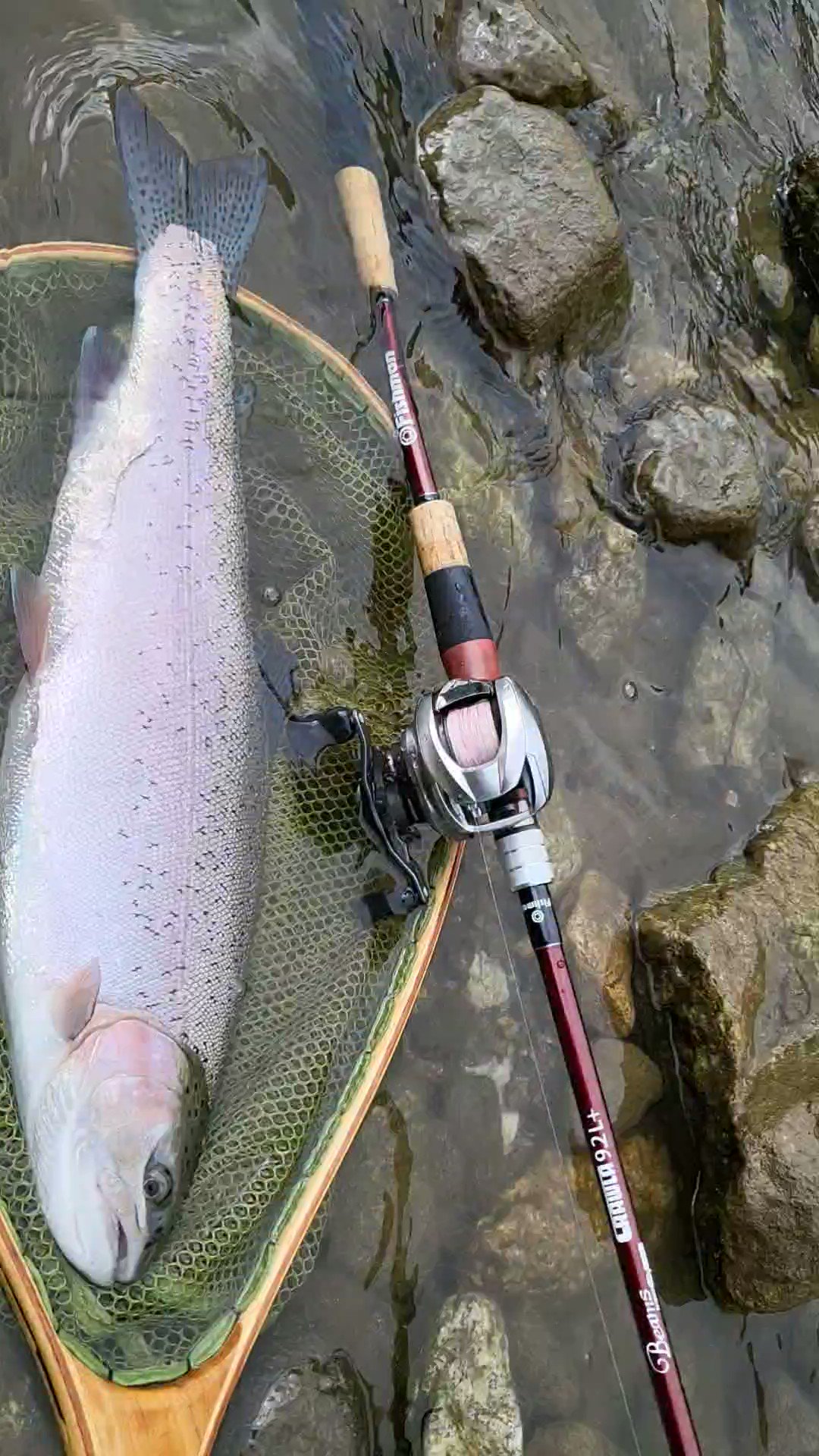 コージ ベイトリール大百科 Kohji Baitreel Twitter