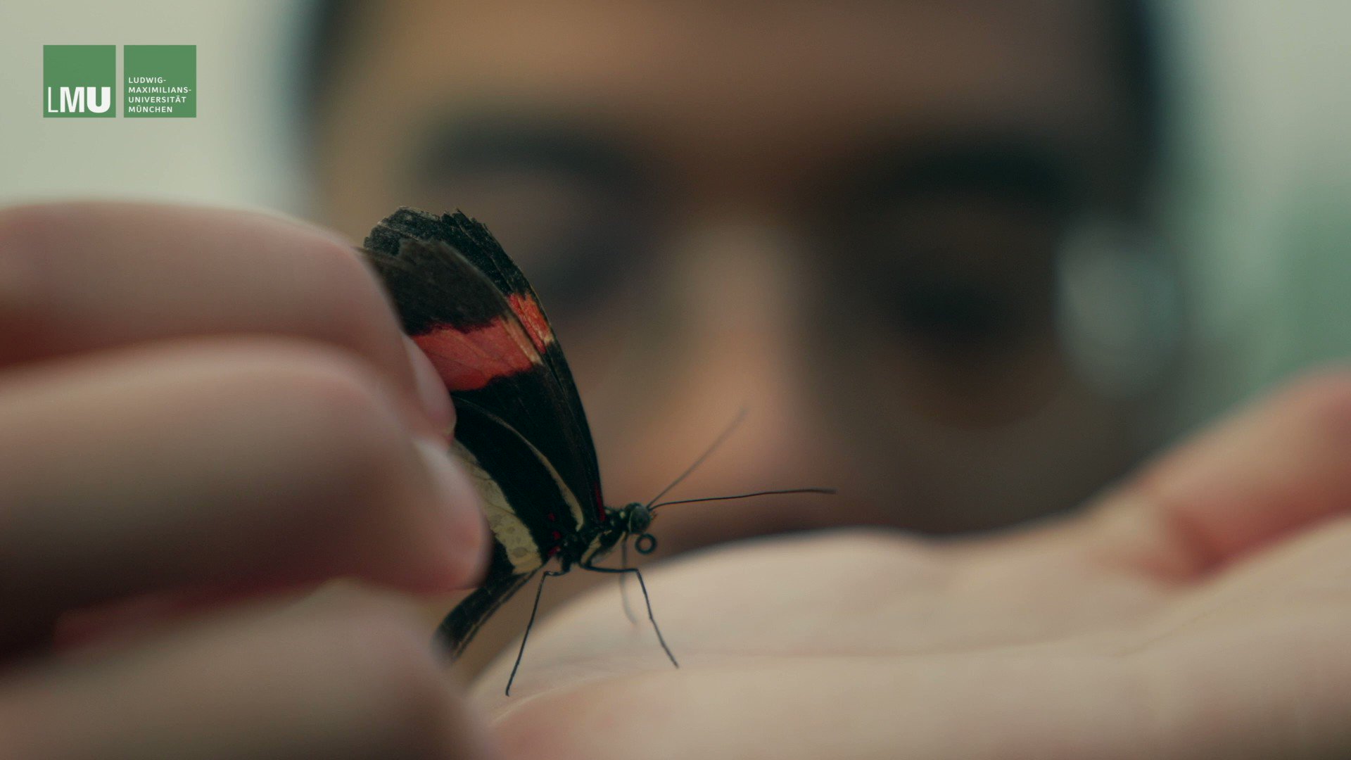 Universität München (LMU_Muenchen) / Twitter