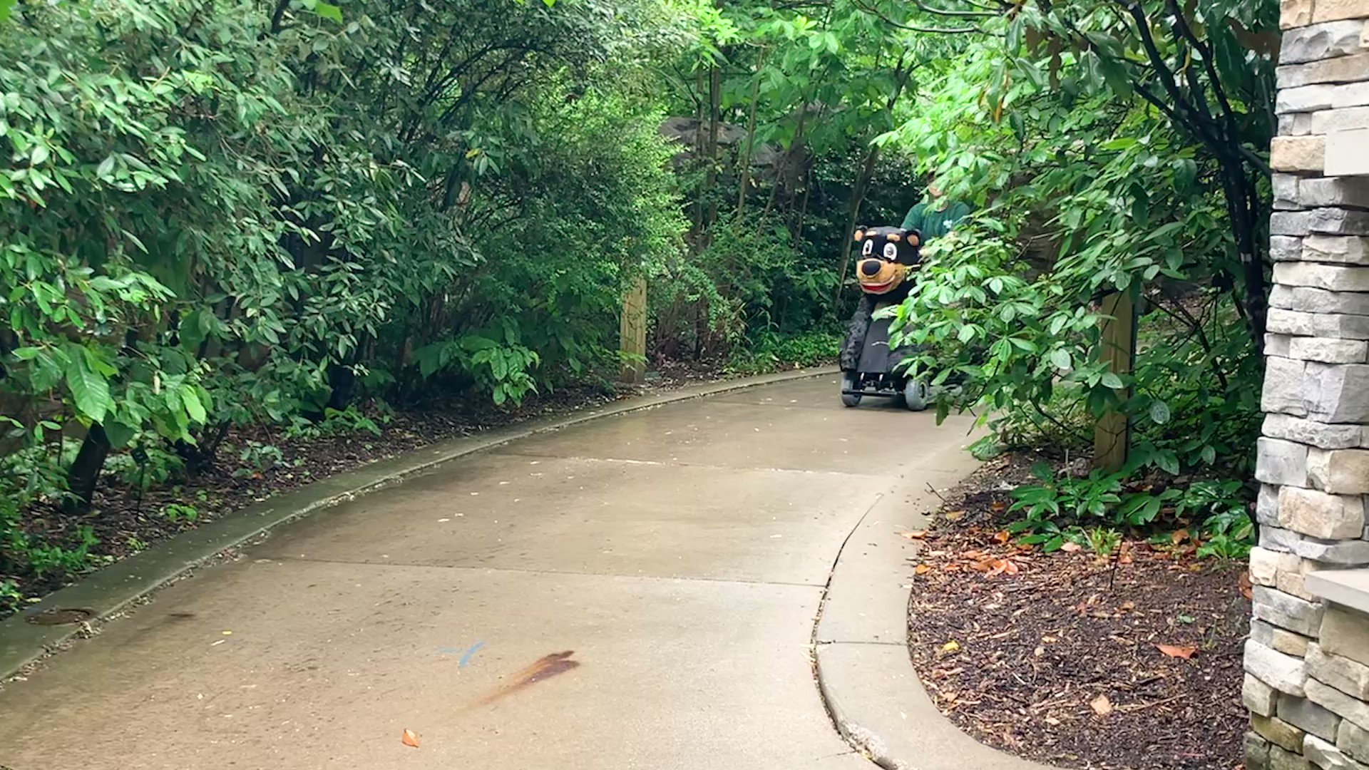 Akron Zoo on Twitter "We have a fun new way to get around during your