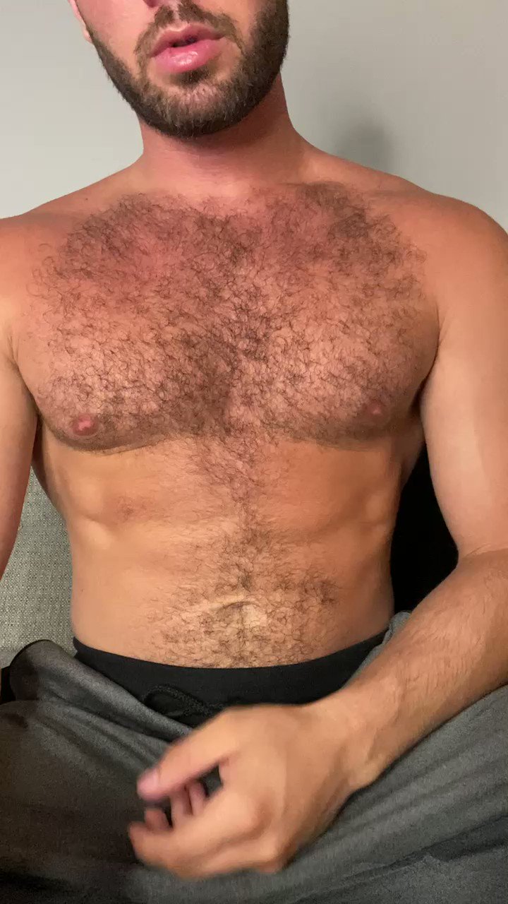 Hairy chest worship