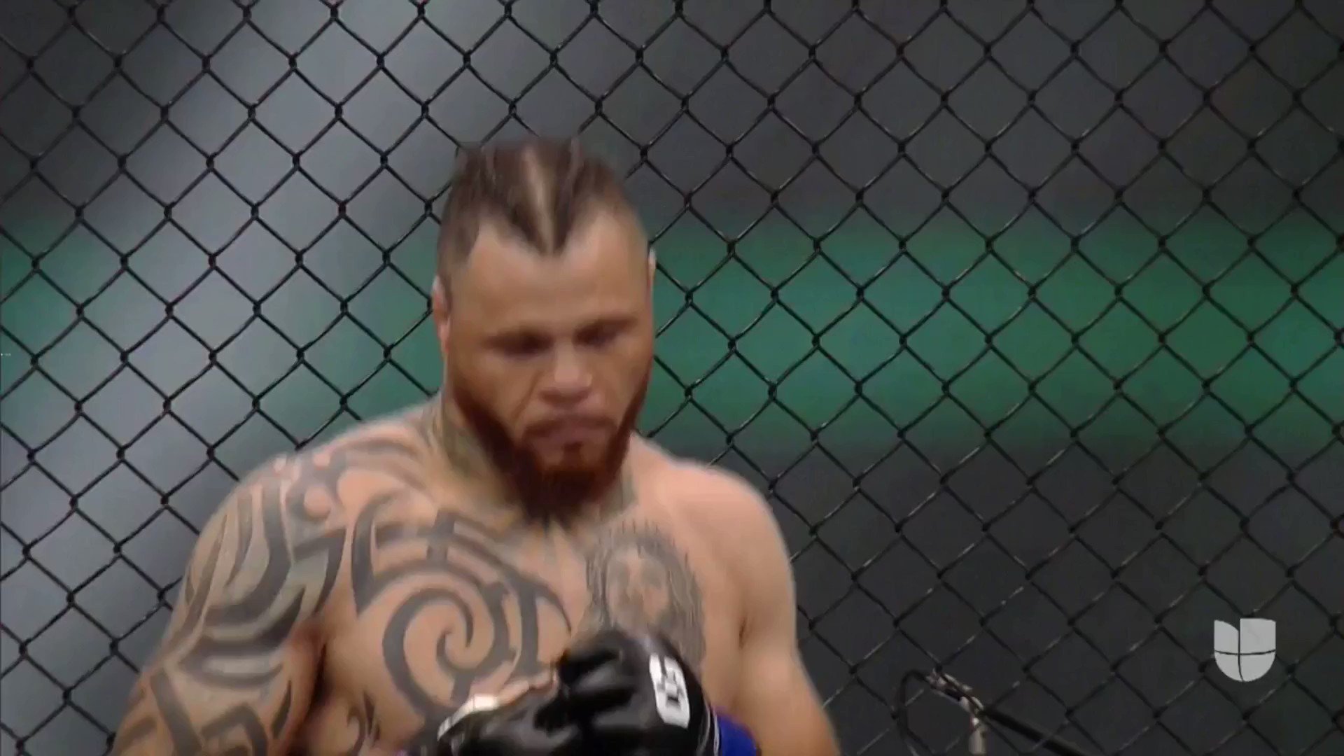 caposa on Twitter "Violent finish by Marcus Edwards in the Combate