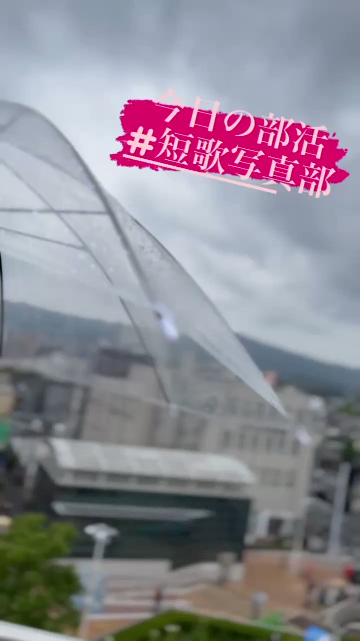 短歌写真部部室 Twitter Search Twitter