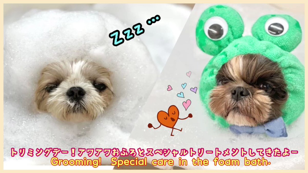 わんこ 犬 hacodeco様 ぬいぐるみ | dinparibarton.com