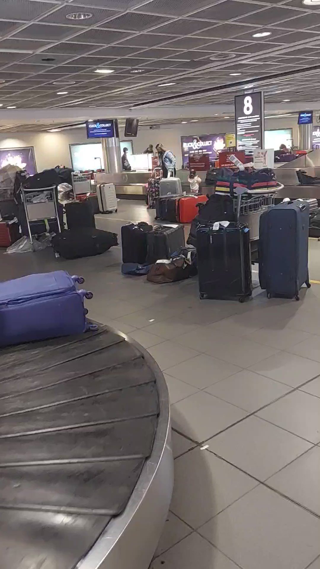 Aer Lingus Missing Luggage Complaints (AerLuggageHelp) / Twitter