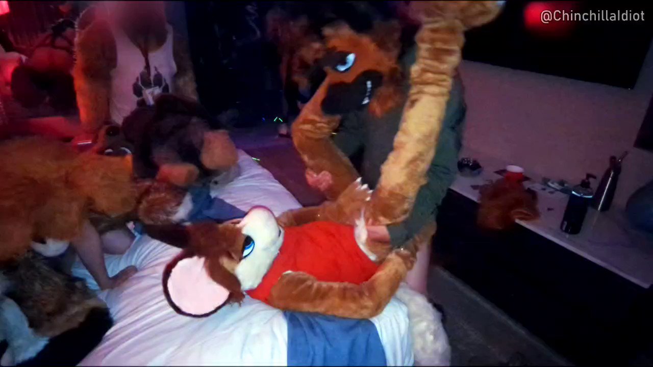 Furry convention orgy