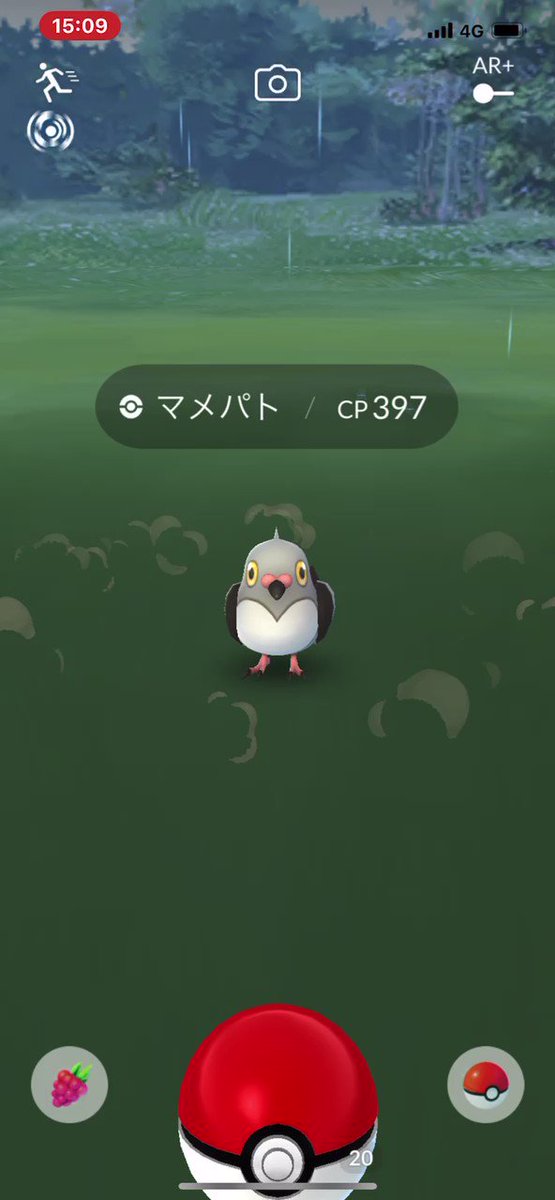 ポケモンgo マメパトの入手方法 能力 技まとめ 攻略大百科