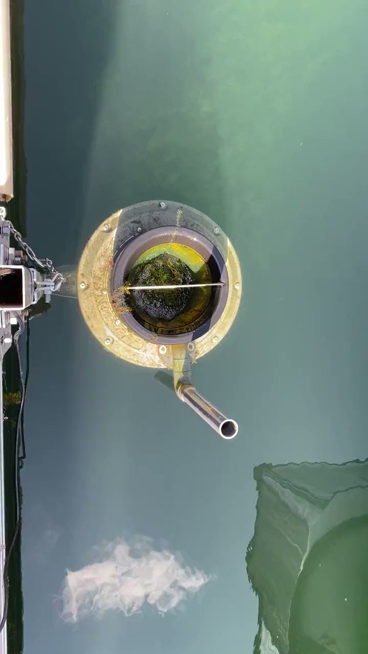 PortsToronto on Twitter "Sneak peek! Our family of Seabins has