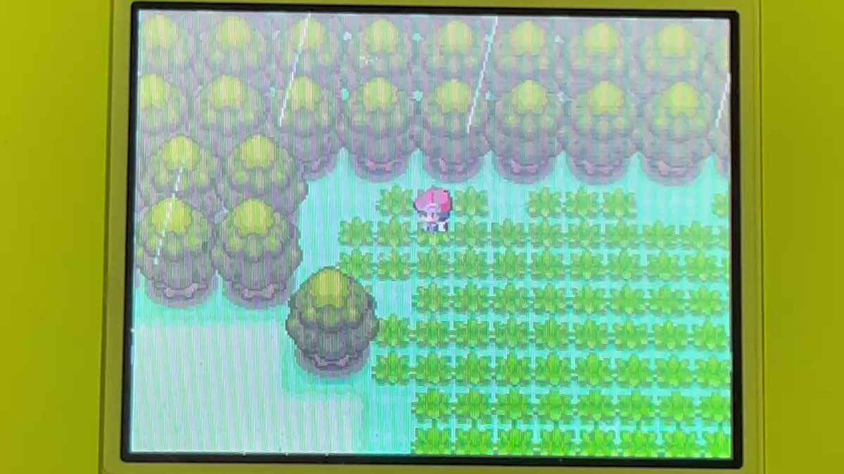 ポケトレ Twitter Search Twitter