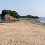 MAGO GALLERY SHODOSHIMAのツイート画像