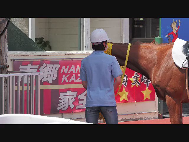 パドック一番に出てきた途端反対方向に歩いて行って「ここ佐賀と違うよー」って思ったらあのスマートブランコさんだった。
フレーメン顔で他馬にご挨拶。

2022-10-10  