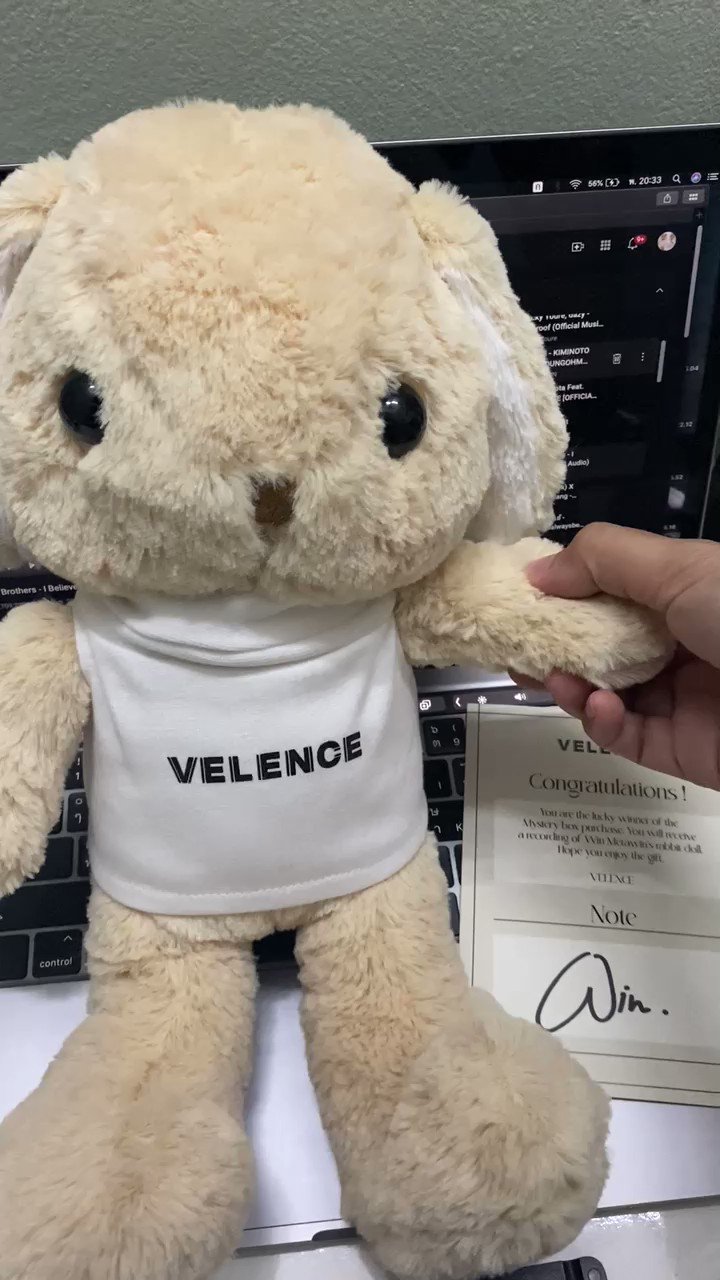 2枚で送料無料 VELENCE MYSTERY BOX/ Winmetawin Win | www.tegdarco.com