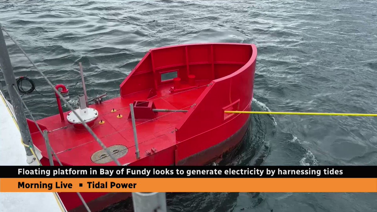 Power Players: Fundy