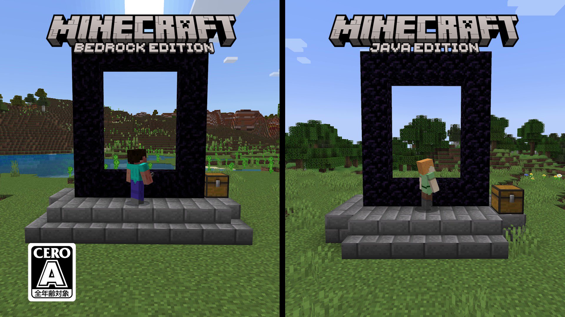 Amazon | Minecraft Java Edition | ゲームソフト