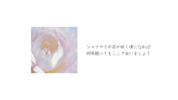 シンガーソングライター リリィ さよなら 公式ウェブサイト