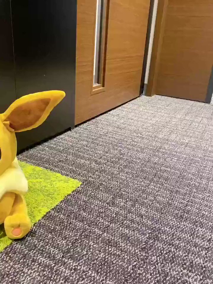 @project_eevee's video Tweet