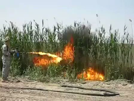 RT @Dragonvibee: 9: US soldiers celebrate after setting fire in an Iraqi wheat field. 

+ https://t.co/NnfmKJiuGT