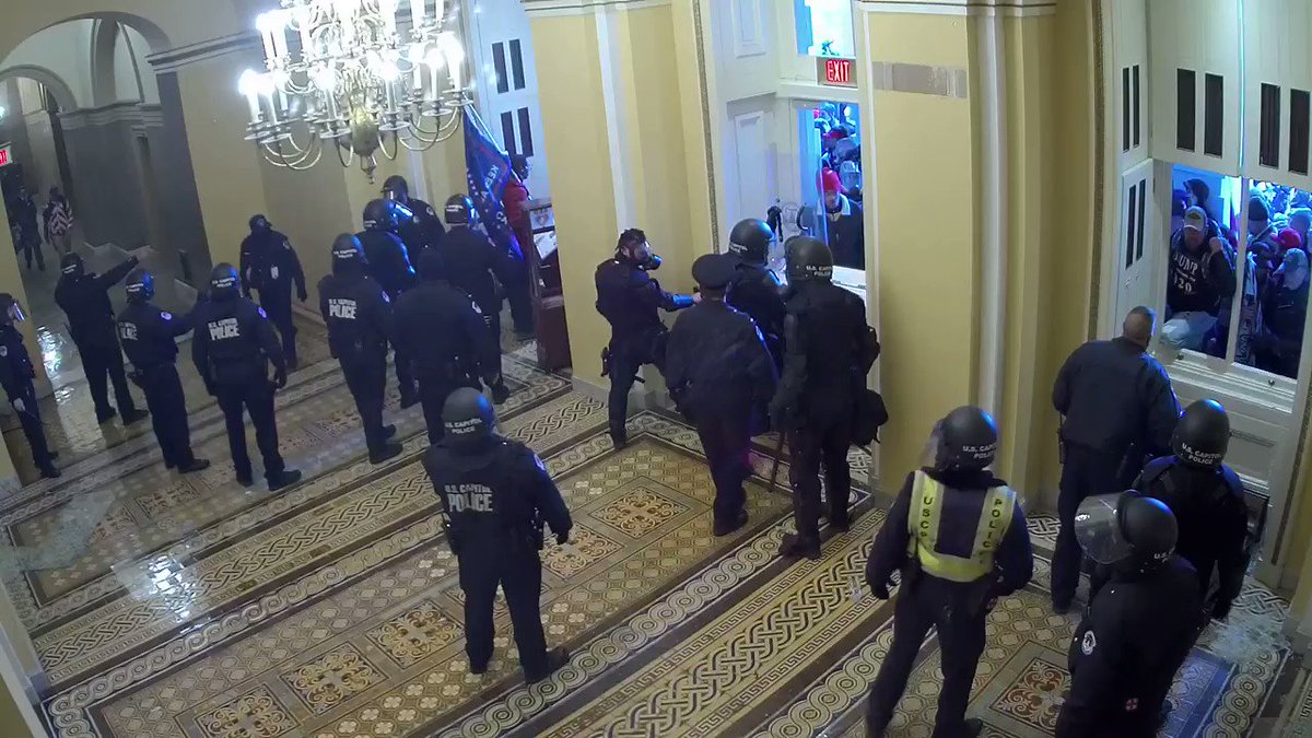 @MacFarlaneNews's photo on RIOT