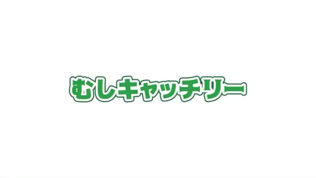 むしキャッチリー(虫キャッチリー) (@carchandrelease) / Twitter むしキャッチリー(虫キャッチリー) (@carchandrelease) / Twitter