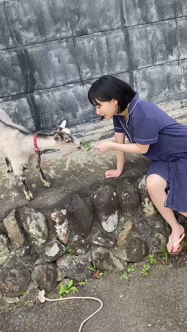 田中美久