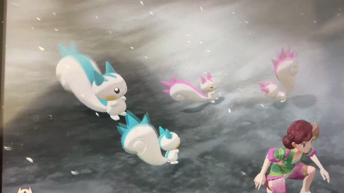 ポケモンgo パチリスの色違い 入手方法と実装状況 攻略大百科 ポケモンgo パチリスの色違い 入手方法と実装状況 攻略大百科